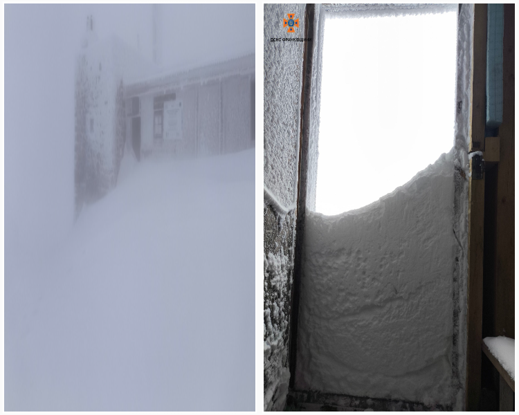 collage_-_2025-10-29T161647