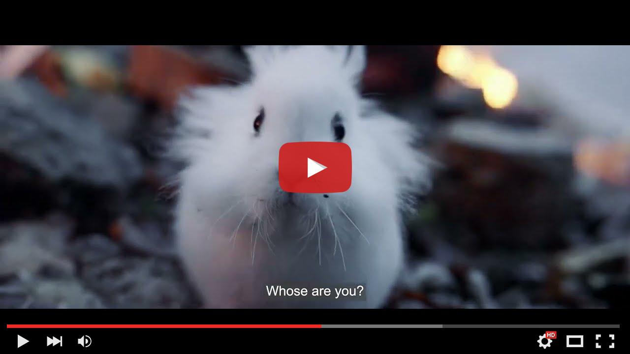 video_preview_5b44f37bfd4dcd8203340f1735f29bb1.jpg