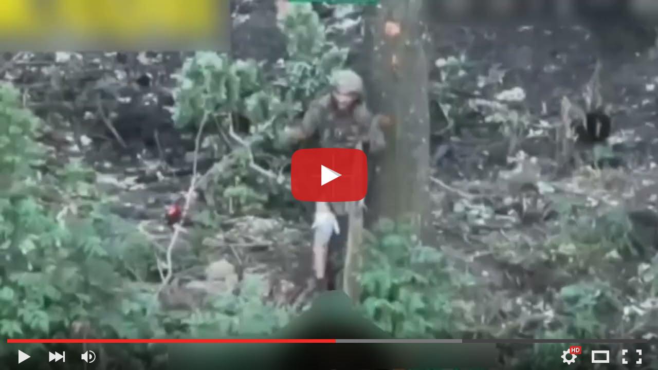 video_preview_917f238cf3cd7e30acad02c267cfb752.jpg