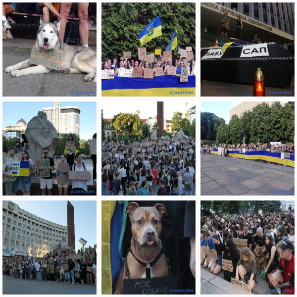 collage_4