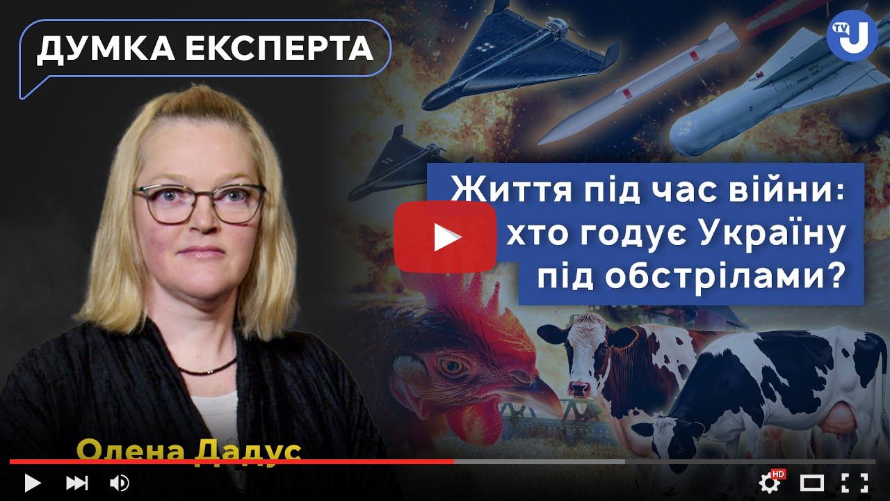 video_preview_14ba98bd25bec96cb0f38ecce102d0f2.jpg