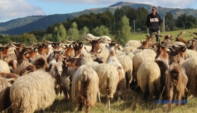 630_360_1760080744-231