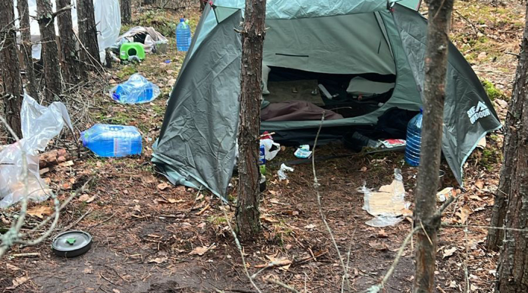 1080_600_1762531207-7058