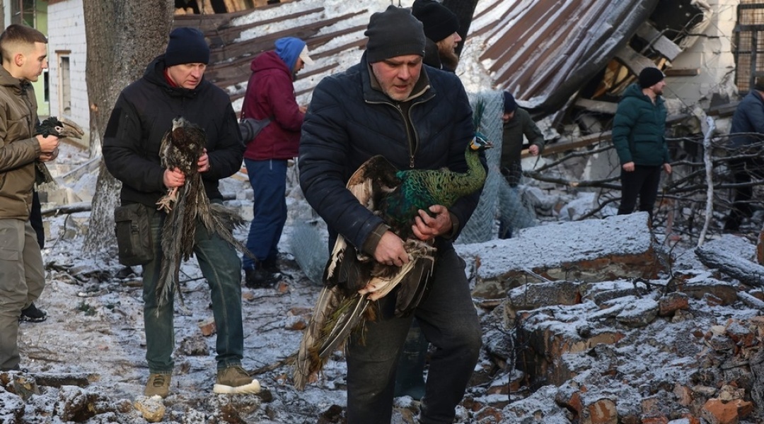 1080_600_1767275207-2418