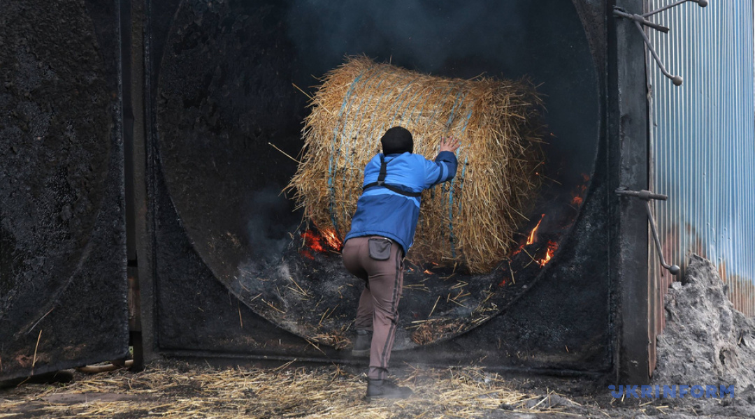 1080_600_1768909095-7206