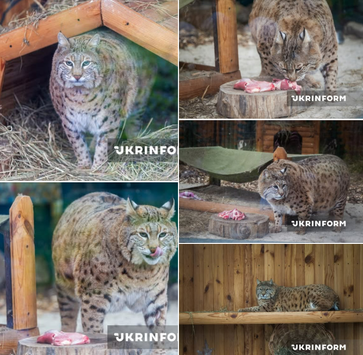 630_360_1774868184-431_d532f129