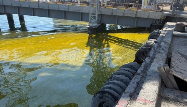 630_360_1777278933-315