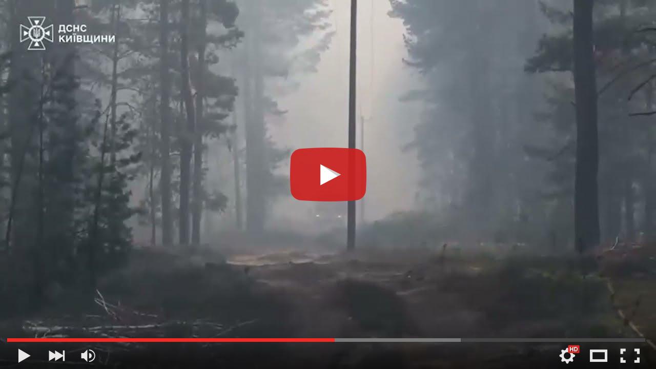 video_preview_ef8c2401a239ce8228c16cea50dd6cd9.jpg