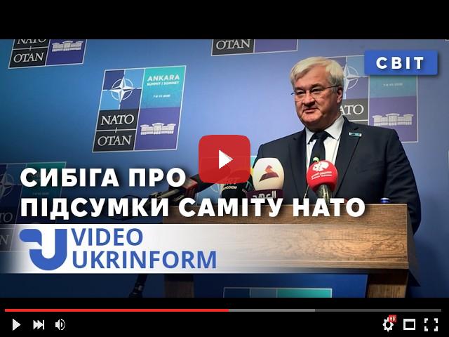 video_preview_93f92cadeb1ee18b9147ea614e2dc33d.jpg