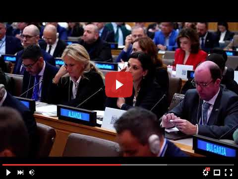 video_preview_efd7ac6e201cab29a08402df79d4667e.jpg