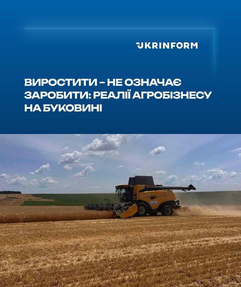 3_d80d8835