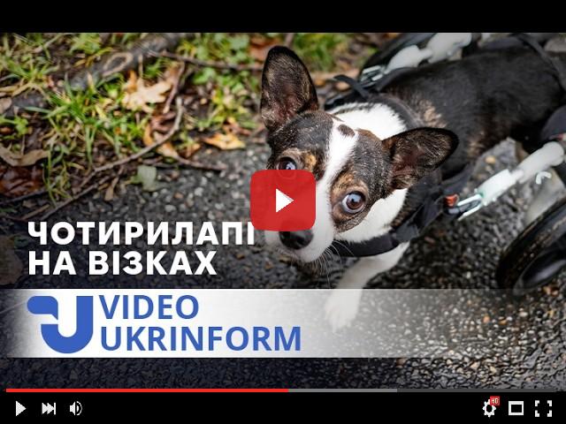 video_preview_286c5471a8fd2de9e66b7d2fd1a54d69.jpg